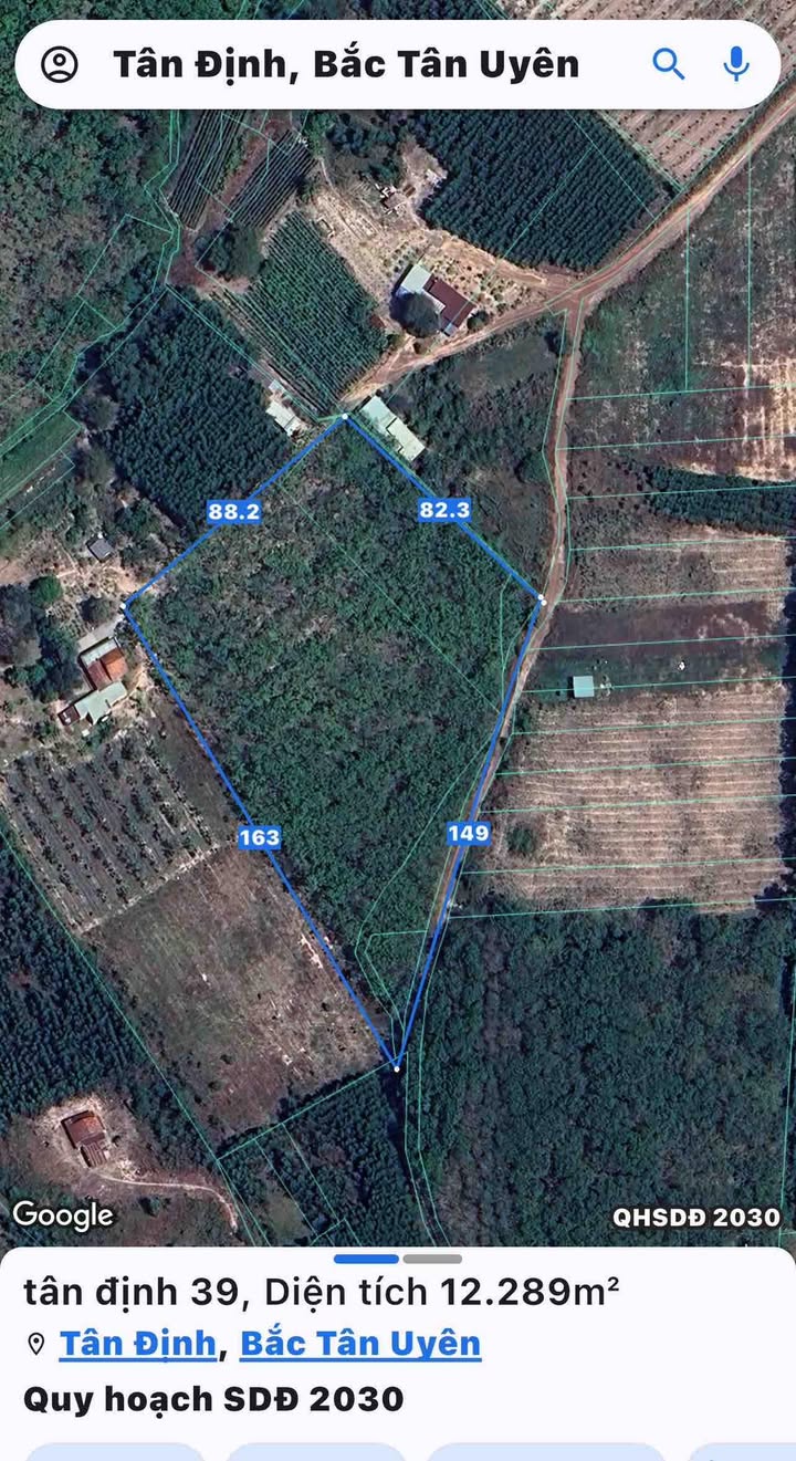 Đất nền 1ha Tân Định, Bắc Tân Uyên - Giá chỉ 5 tỷ, đầu tư sinh lời ngay!