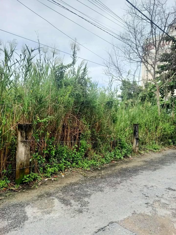 Đất mặt tiền nhựa 110m² tại xã Hòa Lợi, Châu Thành - Cơ hội đầu tư tuyệt vời!