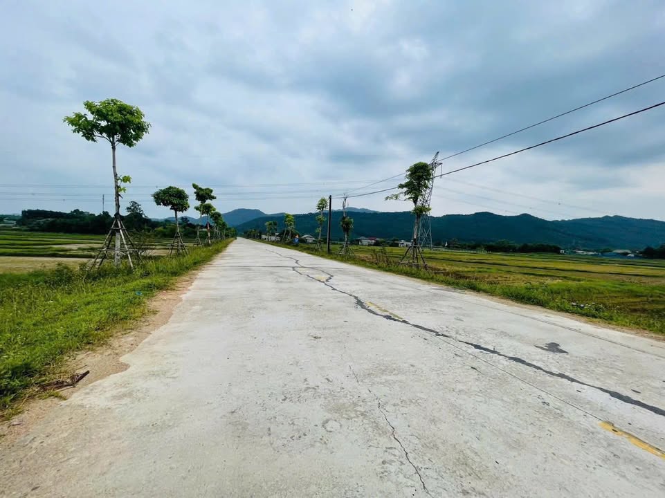 Mặt tiền kinh doanh đường Nguyễn Xí 260m² giá 2 tỷ - Cơ hội đầu tư hấp dẫn!