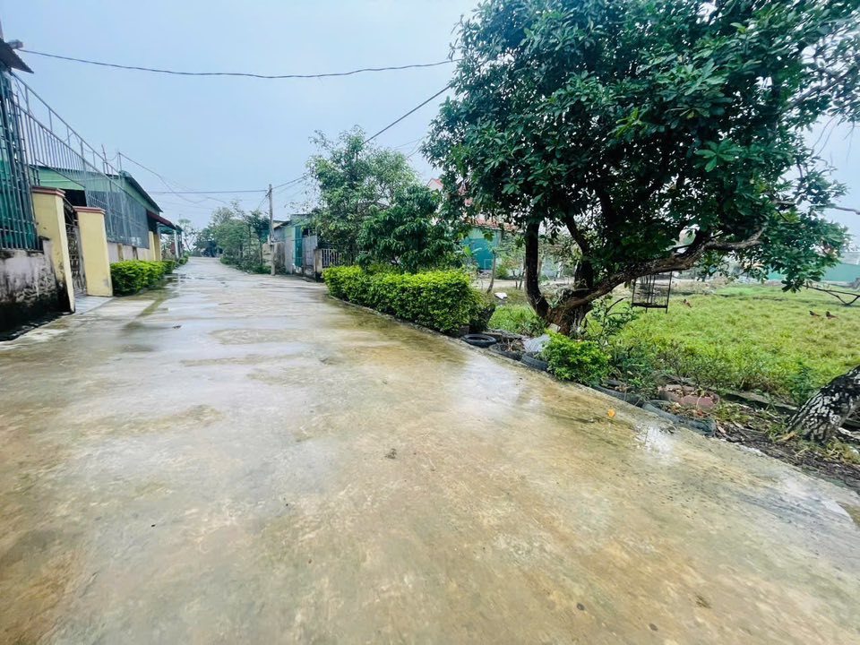 Đất nền Thạch Thắng 130m² giá 1.2 tỷ - Vị trí sát chợ và trường học!