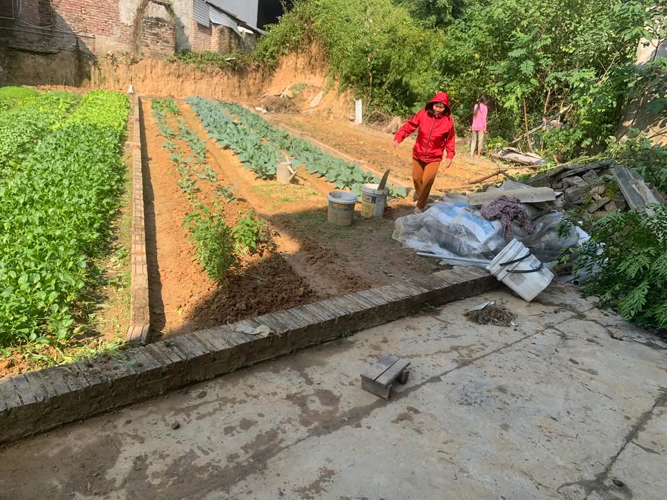 Đất nền Cổ Loa, Đông Anh 56m² giá 3.7 tỷ - Đầu tư sinh lời tốt!