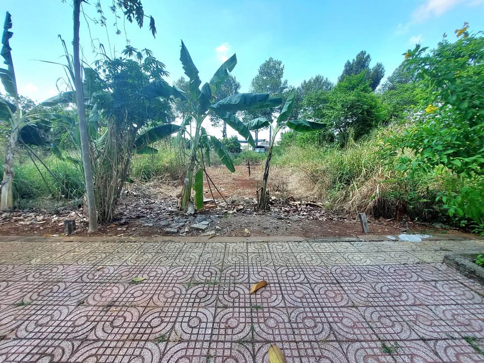 Đất nền tái định cư Suối Chồn, Long Khánh 97m² giá 1.95 tỷ - Xây dựng tự do!