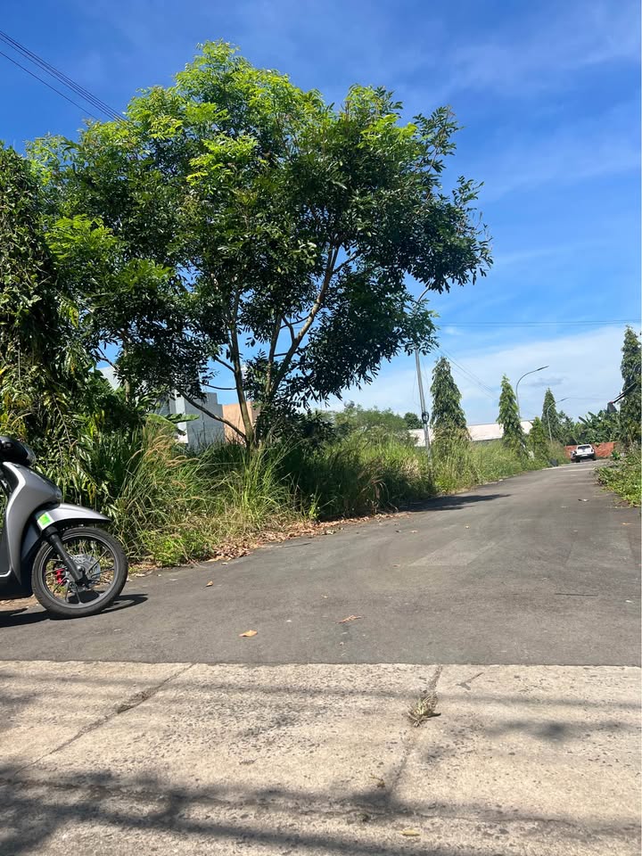 Đất nền Khang Thịnh 1 Long Khánh 119m² giá 1.2 tỷ - Sổ hồng riêng chính chủ!