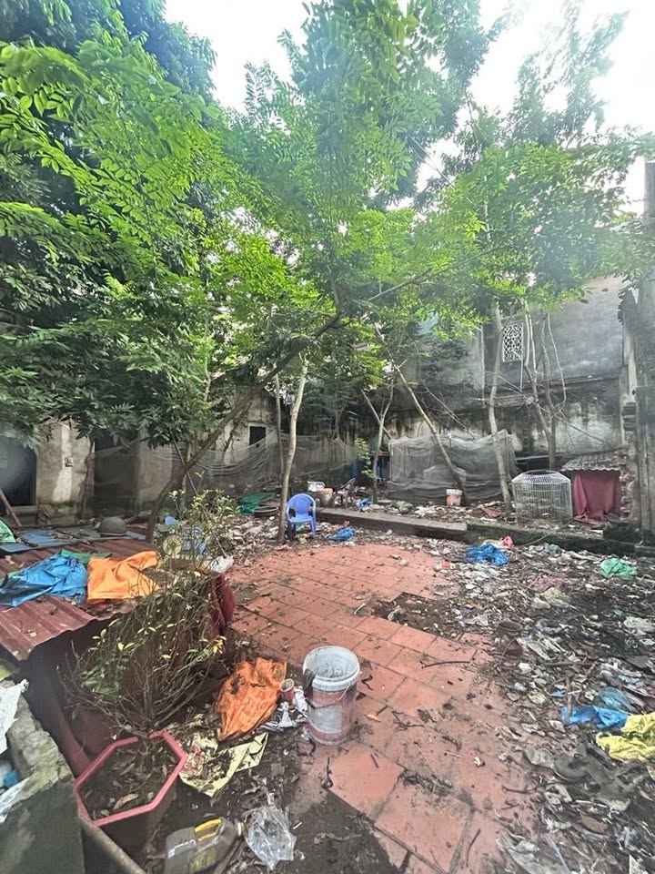 Đất nền Đồng Kỵ Từ Sơn 164m² giá 2 tỷ - Tiềm năng đầu tư sinh lời!