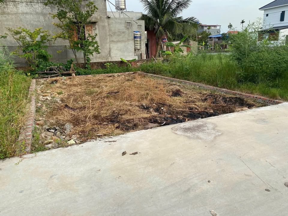 Lô đất 62m² tại chợ Cẩm Hoàn, Kiến Thụy - Giá chỉ 900 triệu