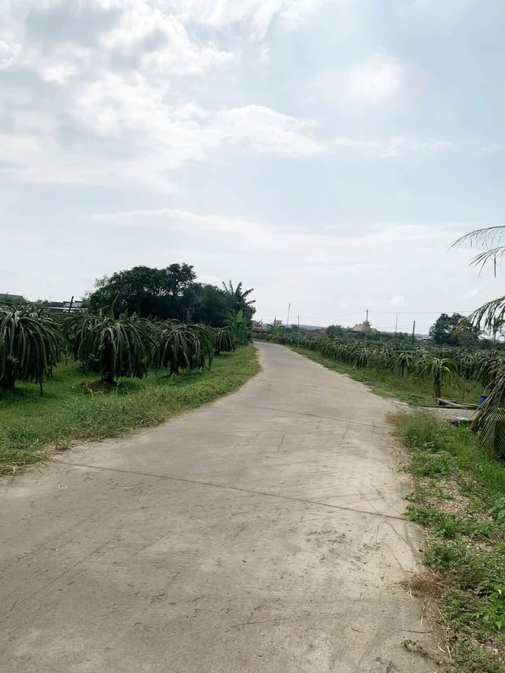 Bán đất thổ cư 3300m² tại xã Tuyên Quang, Lâm Đồng - Mặt tiền bê tông, giá tốt!