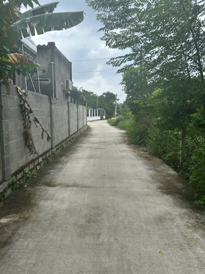 Đất Biển Cam Bình, Tân Phước 215m² giá 1.8 tỷ - Đón đầu tiềm năng phát triển!