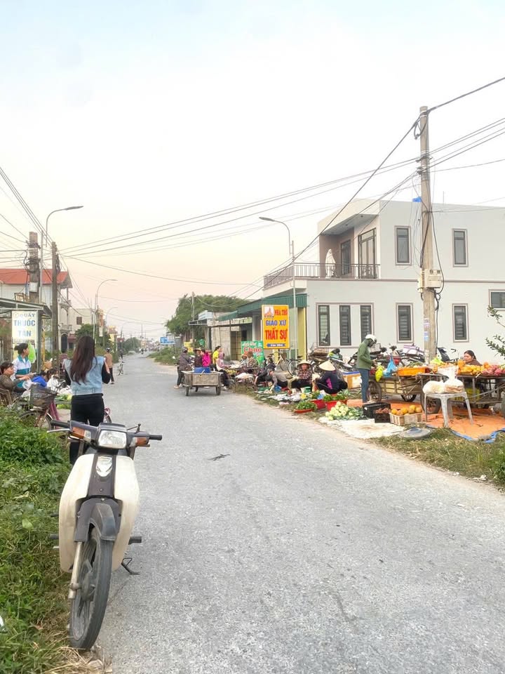 Đất nền chính chủ tại đường DH 33, Văn Lâm, Hưng Yên - Giá đầu tư chỉ 1.3 tỷ