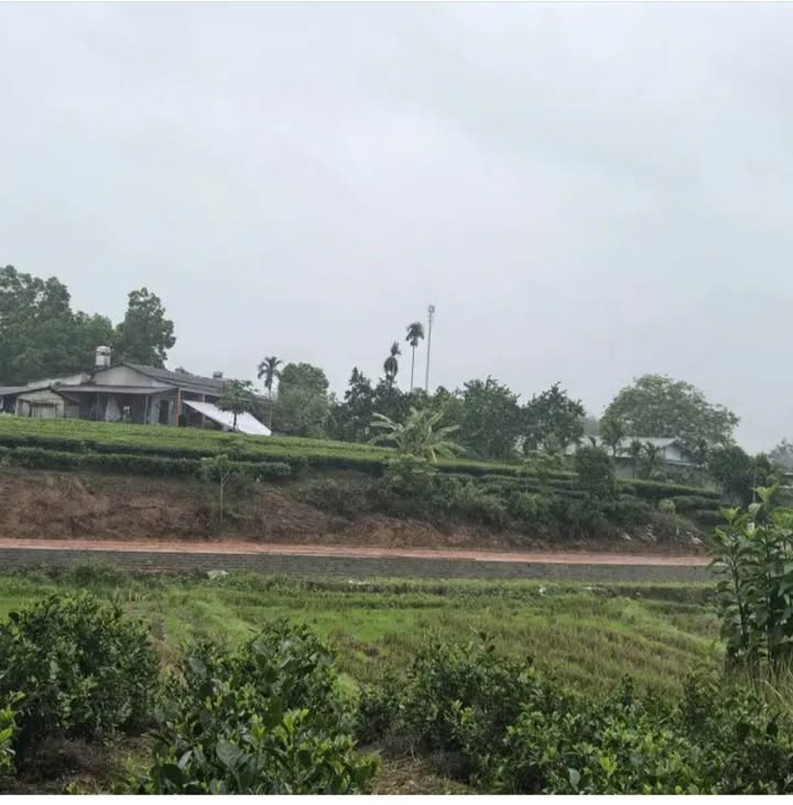 Đất nền tại phường Quyết Thắng, Thái Nguyên 720m² - Giá chỉ 3 tỷ, vị trí đắc địa!