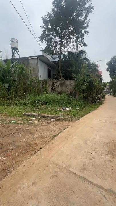 Đất nền Sông Công 367m² giá chỉ 1.6 tỷ - Cơ hội đầu tư hấp dẫn!