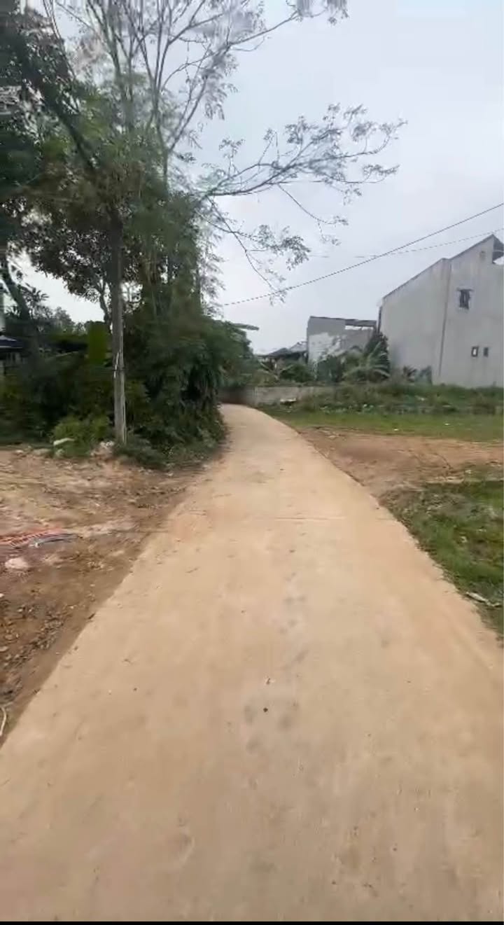 Đất nền phường Quyết Thắng Sông Công 367m² chỉ 1.5 tỷ - Đầu tư sinh lời ngay!