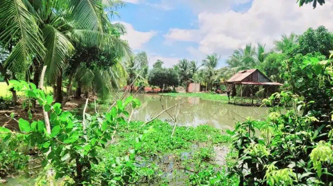 Đất thổ cư Phú Thuận Thoại Sơn 4.700m² - Đầu tư sinh lời với mô hình nhà vườn