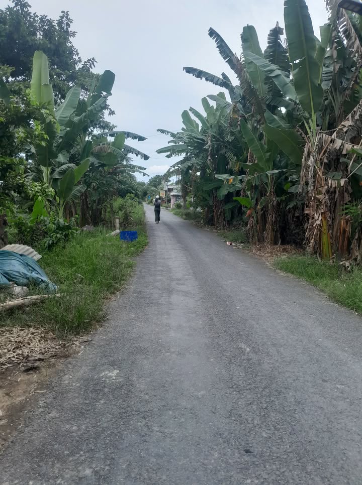 Đất nền 60.000m² tại Tây Phú, Thoại Sơn - Giá chỉ 1.6 tỷ VND, cơ hội đầu tư tuyệt vời!