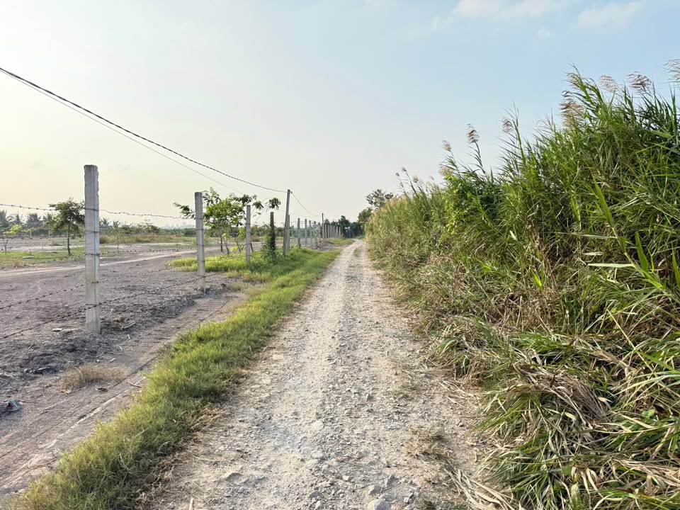 Đất nền thổ cư Bình Hòa, Châu Thành, An Giang 175m² giá 300 triệu - Cơ hội đầu tư hấp dẫn!