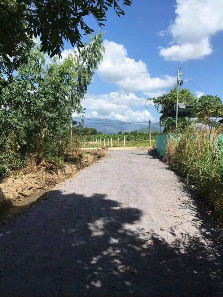 Mảnh vườn Xoài Úc Suối Tiên 2975m² giá chỉ 2.975 tỷ - Cơ hội vàng cho nhà vườn!