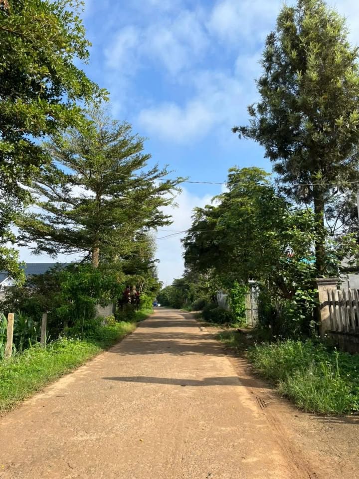 Đất thổ cư Quảng Lập 72m² giá 800 triệu - Đường bê tông, view sông Đa Nhim!