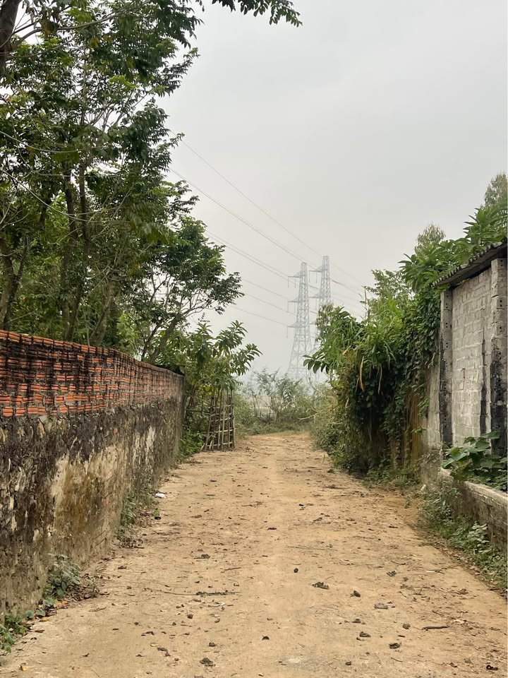 Đất nền Đạo Đức, Bình Xuyên 73m² giá 1.1 tỷ - Cơ hội đầu tư sinh lời!