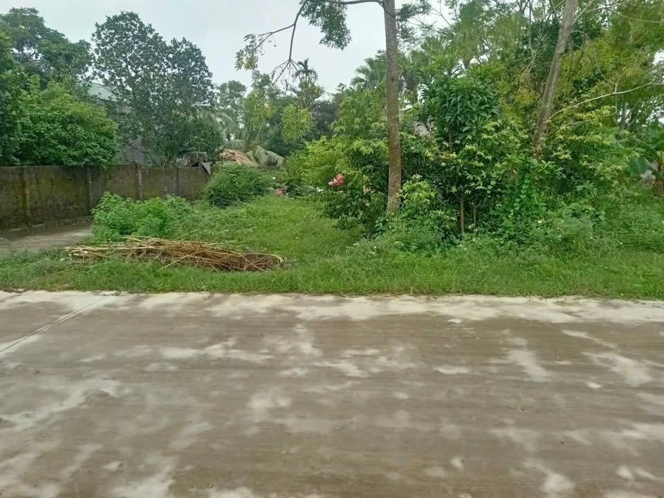 Lô đất đẹp 722m² tại Quảng Ngọc, Thanh Hóa - Giá chỉ 1.7 tỷ, thương lượng chính chủ!