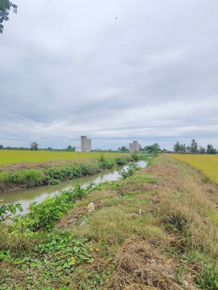 Đất nông nghiệp 12.000m² tại ấp Phước Hòa, Sóc Trăng - Cơ hội đầu tư tuyệt vời!