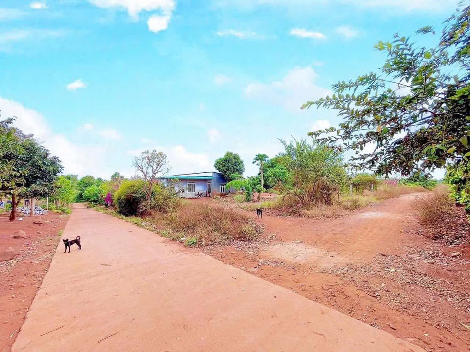 Đất nền Cư Suê Đắk Lắk 132m² giá 200 triệu - Cơ hội đầu tư hấp dẫn!