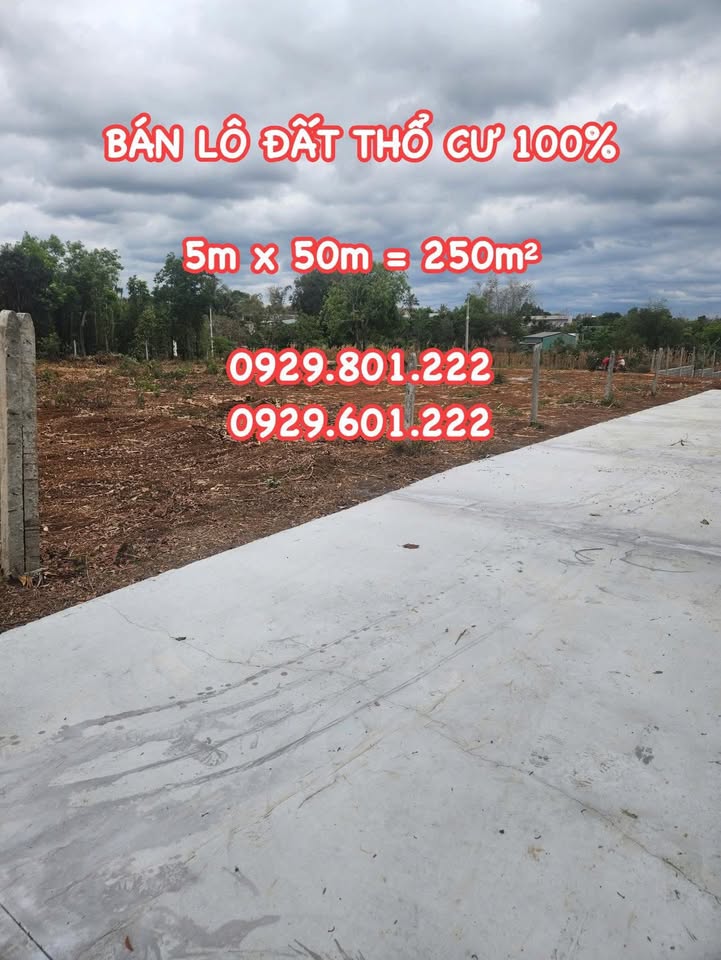 Đất thổ cư 250m² tại Thôn 5, Cư Êbur - Giá chỉ 385 triệu, đầu tư sinh lời cao!
