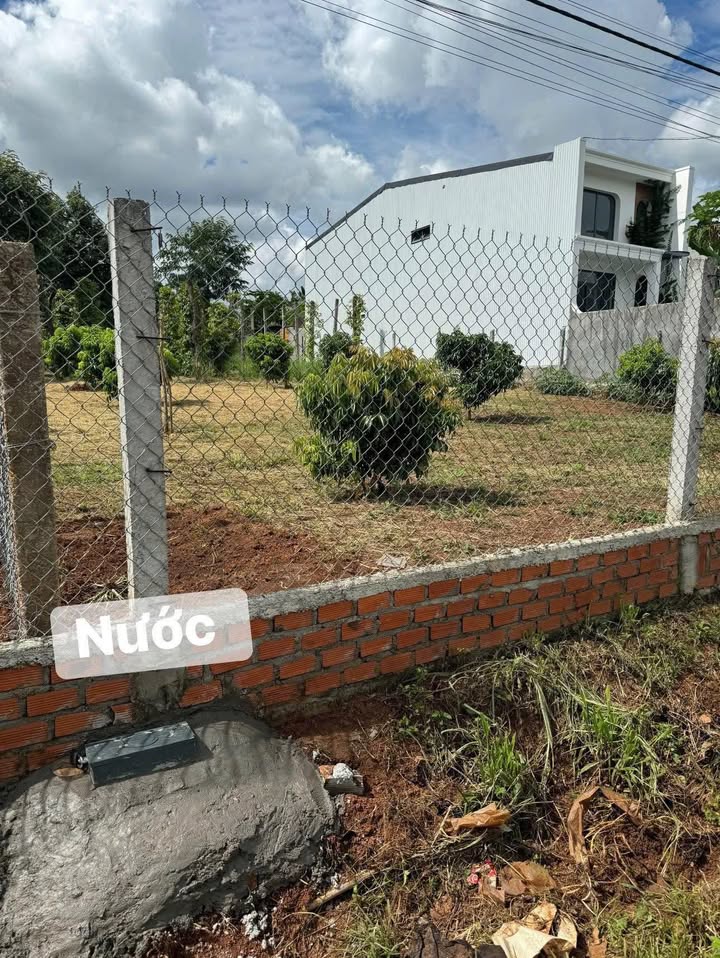 Đất nền thổ cư 750m² tại thôn 8, Buôn Ma Thuột chỉ 2.8 tỷ - Đầu tư sinh lời ngay!