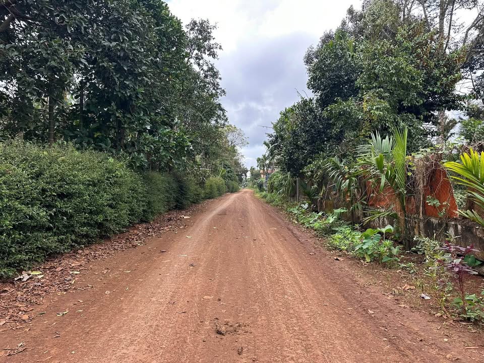 Đất nền Cuôr Đăng 125m² giá 295 triệu - Sổ đỏ chính chủ, thương lượng nhẹ!