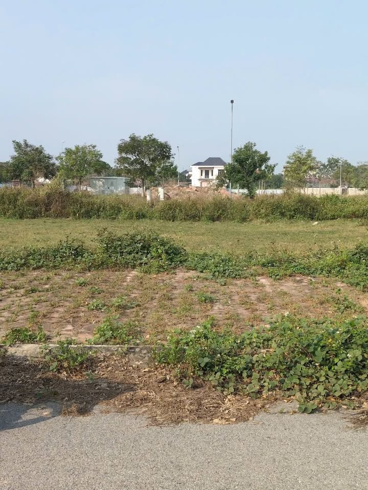 Đất nền dự án Lam Sơn Nexus Tân Mỹ 90m² giá 3.85 tỷ - Cần bán gấp!