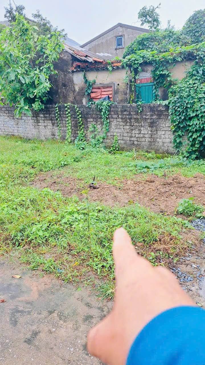 Đất nền khu phố 7, Vinh Hưng 56,3m² - Tiềm năng đầu tư sinh lời!