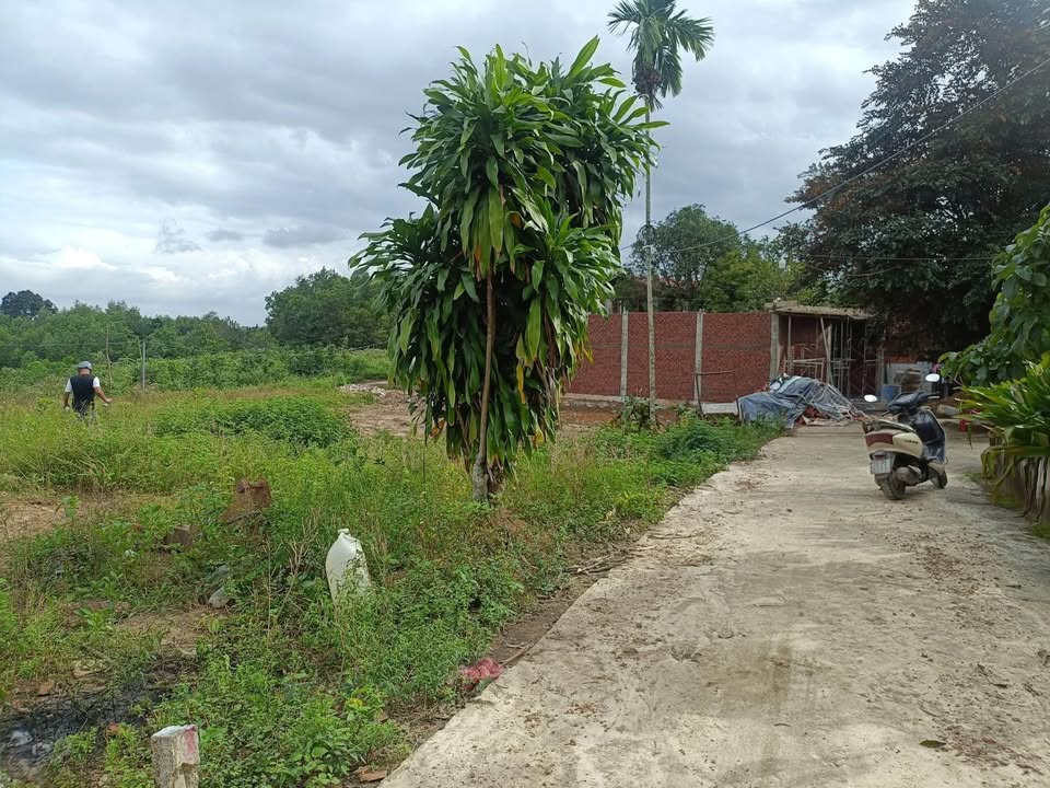 Đất nền Phường Hòa Khánh, 130m² giá 1.1 tỷ - Vị trí đẹp, hỗ trợ vay ngân hàng!