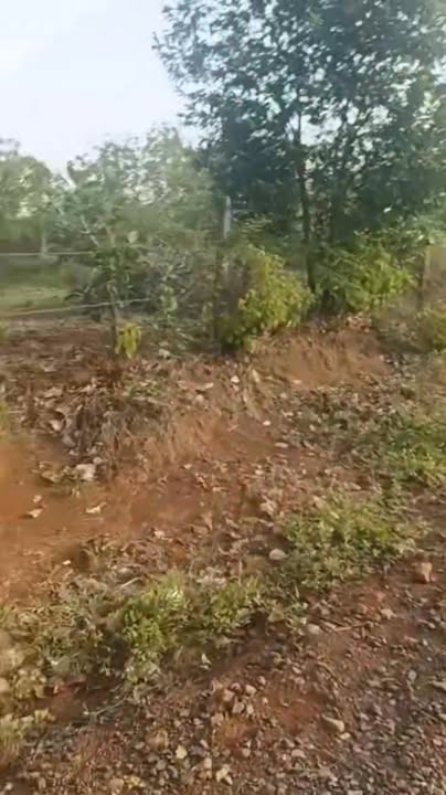 Đất nền Phước Sơn Bù Đăng 32.400m² giá 1.1 tỷ - Đầu tư sinh lời ngay!