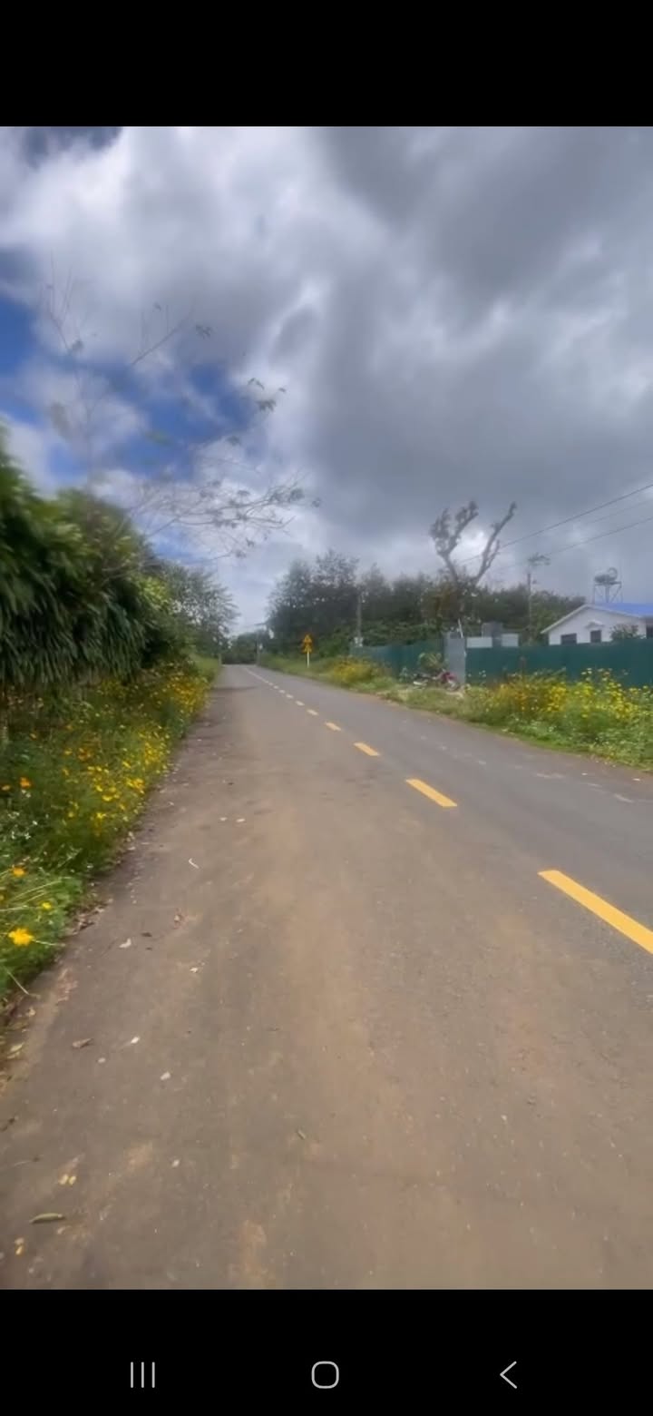 Đất Mặt tiền Nguyễn Trãi, Bảo Lộc 296m² giá 2 tỷ - Cơ hội đầu tư tuyệt vời!