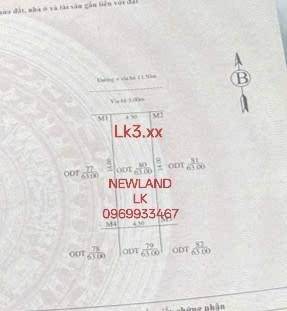 Đất nền KĐT Newland Hải Dương 63m² giá 4 tỷ - Vị trí đẹp để ở và đầu tư!