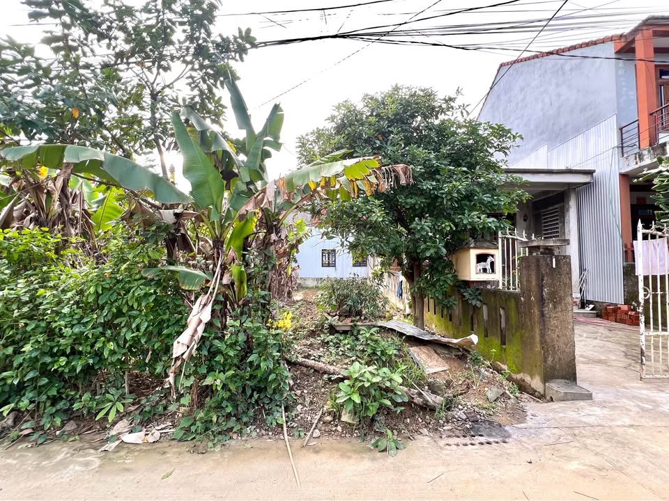 Lô đất Vân Dương - Phường Vỹ Dạ - 115m² chỉ từ 2 tỷ - Hướng Đông mát mẻ!