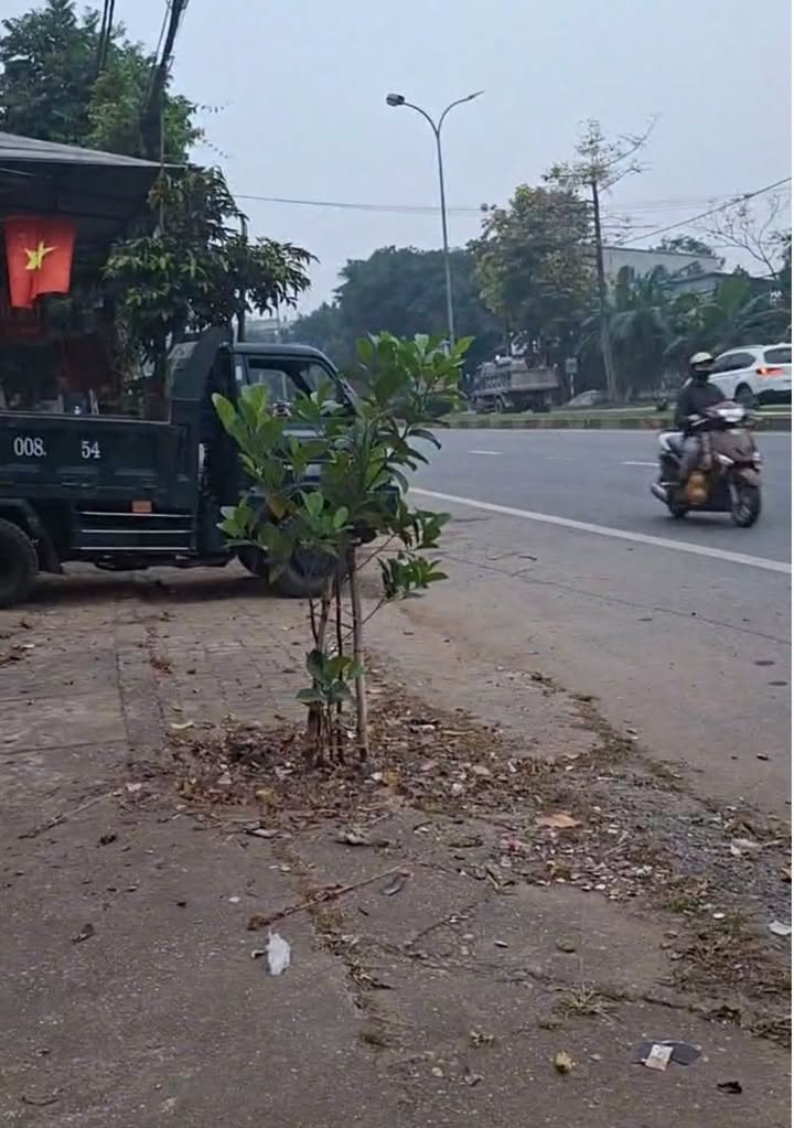 Đất thổ cư Kim Đức Việt Trì 176m² giá 1.2 tỷ - Sổ đỏ chính chủ, giao thông thuận tiện!