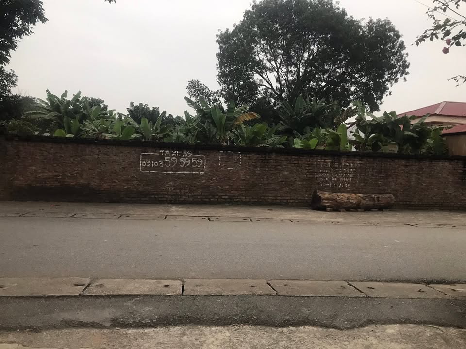 Đất thổ cư 500m² xã Tam Nông, Phú Thọ - Đầu tư sinh lời cho đại gia!