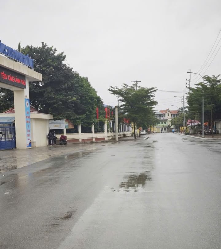 Đất đấu giá Đông Mỹ, Thanh Trì 80m² giá 10 tỷ - Sổ đỏ chính chủ, vị trí đắc địa!