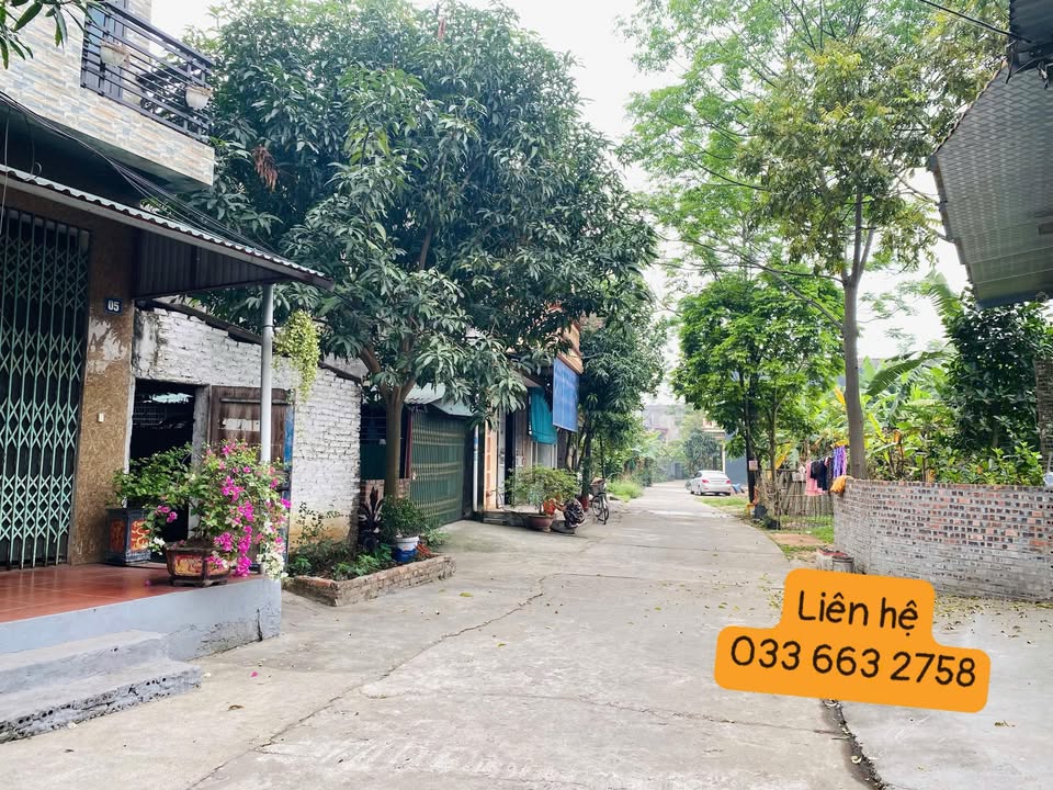 Đất thổ cư 81m² tại P.Thanh Miếu, Phú Thọ giá 2 tỷ - Đầu tư sinh lời!