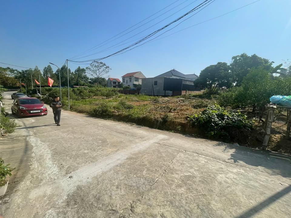 Đất nền Thanh Đình 123m² giá 1 tỷ - Vị trí đắc địa, đầu tư sinh lời!