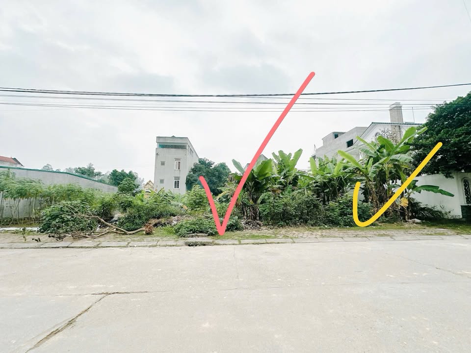 Bán đất Nguyễn Du, Việt Trì, 100m² - Mặt tiền rộng, hướng Tây Bắc!