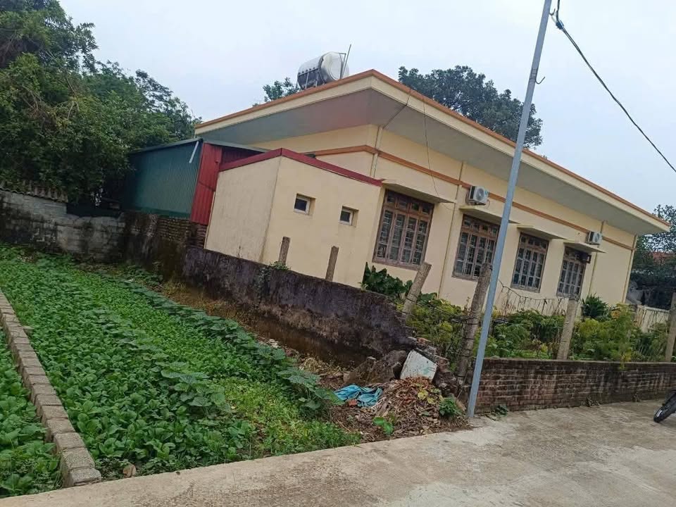 Đất nền Tự Nhiên Thường Tín 54.4m² - Ô tô vào tận đất, đầu tư sinh lời!