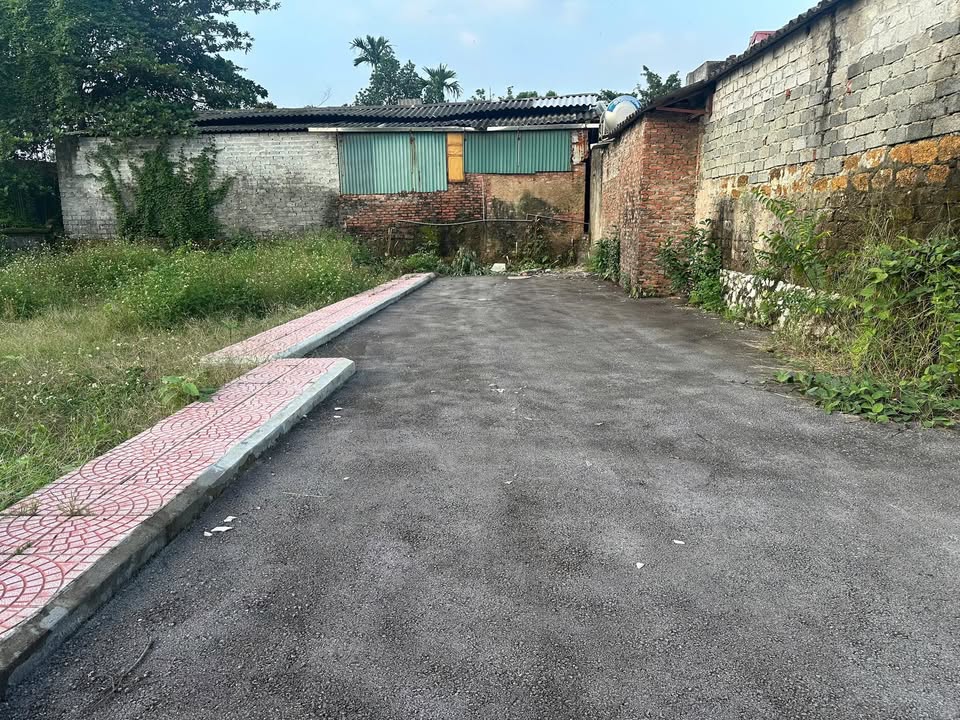 Đất nền Phúc Lâm, Mỹ Đức 96m² giá 1 tỷ - Vị trí đẹp, thuận tiện đầu tư!