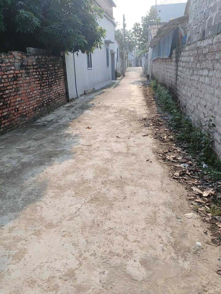 Đất nền Hương Sơn, Mỹ Đức 80m² giá 1 tỷ - Đường ô tô vào tận nơi!