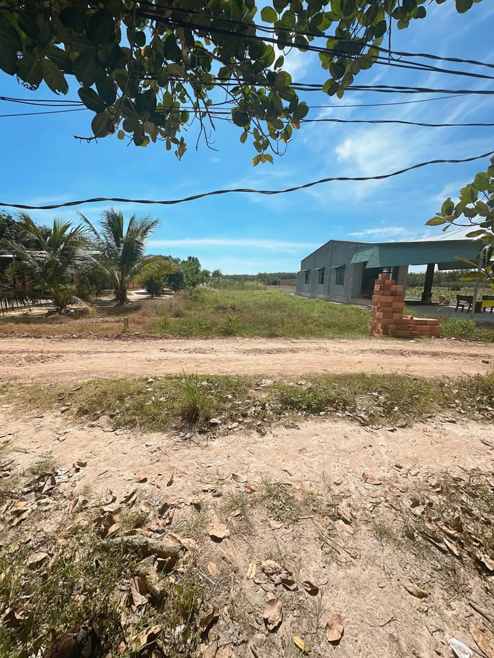 Đất nền Phước Vinh, Châu Thành, Tây Ninh 1092m² giá 2.73 tỷ - Đất gò cao ráo đẹp!