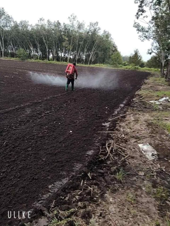 Đất nền Trà Vong Tân Biên 10.000m² chỉ 1.1 tỷ - Cơ hội đầu tư tuyệt vời!