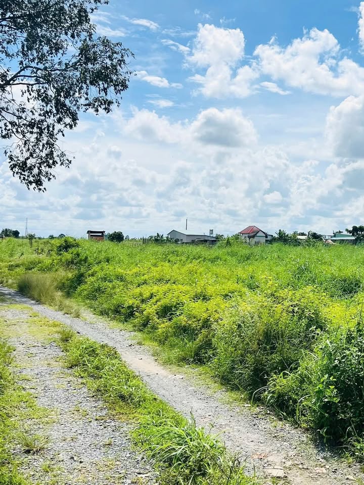 Đất Nền Ninh Thạnh, Tây Ninh 315m² giá 230 triệu - Cơ hội đầu tư tuyệt vời!