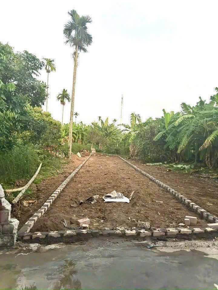 Đất nền Thiên Hương Thủy Nguyên 98m² giá 1 tỷ - Đầu tư sinh lời ngay!