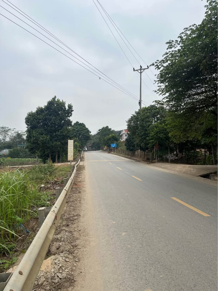 Đất thổ cư Trấn Yên 125m² giá 880 triệu - Bán gấp 3 lô liền kề Cầu Hóp!