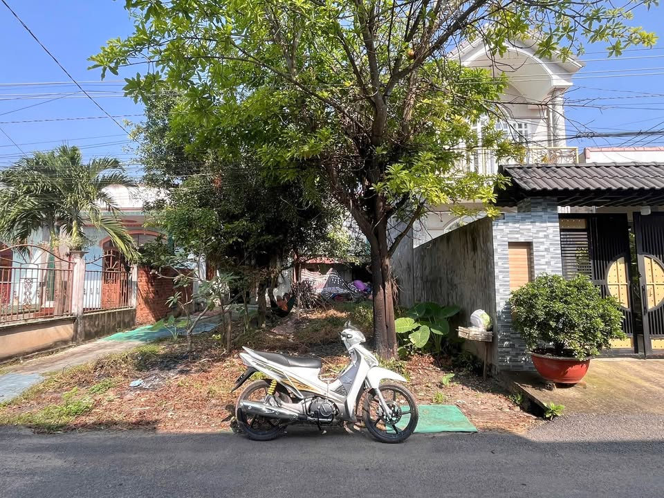 Đất nền ấp Tân Hiệp 2 - Xã Phước Thái 125m² chỉ 800 triệu - Cơ hội đầu tư tuyệt vời!