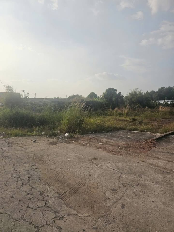 Đất nền mặt tiền Phùng Hưng, An Viễn 1.147m² - Cơ hội đầu tư tốt nhất!